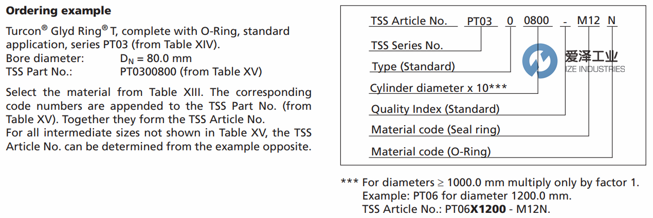 TRELLEBORG（B+S）格萊圈PT系列 愛(ài)澤工業(yè)ize-industries (1).png