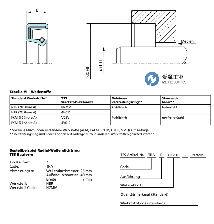 BUSAK+SHAMBAN(B+S)油封TRA系列 愛澤工業(yè) izeindustries.png