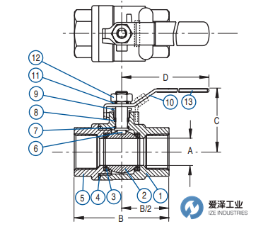 DURAVALVE球閥D250 20500C 愛澤工業(yè) izeindustries (2).png