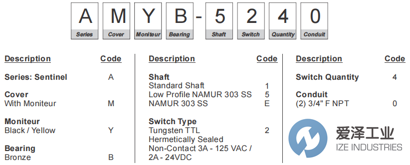 MONITEUR DEVICES變送器AMYB5240 愛(ài)澤工業(yè) ize-industries (2).png