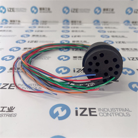 SUBCONN連接器BH16FSS34 愛澤工業(yè) izeindustries (5).JPG