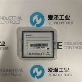 AMTRON內(nèi)存卡CFC-SI001GIAU 愛澤工業(yè) izeindustries (3).JPG