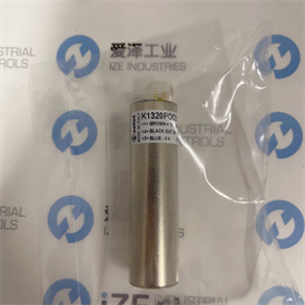 SELET傳感器K1320P0C5  愛(ài)澤工業(yè) izeindustries (7).JPG