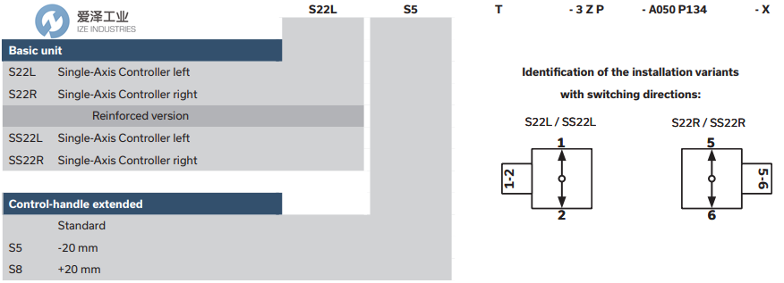 GESSMANN單軸控制器S22L-2ZP-A05P444 愛澤工業(yè) ize-industries (3).png