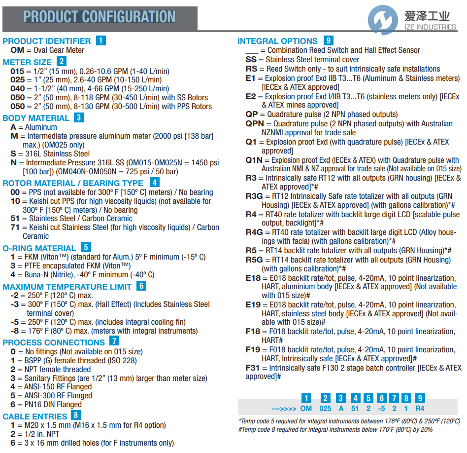 FLOMEC流量計(jì)OM025A001-816F19 愛澤工業(yè) ize-industries (2).png