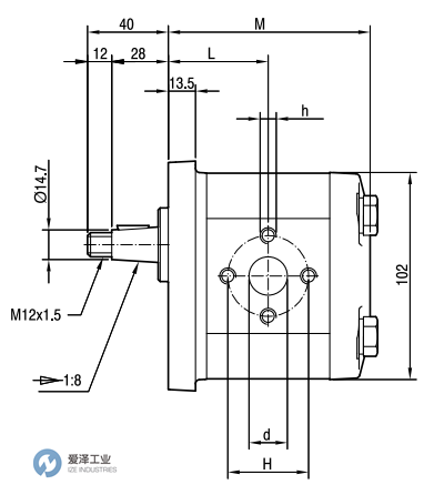 MARZOCCHI齒輪電機GHM2-R-20-E1 愛澤工業(yè) ize-industries (4).png