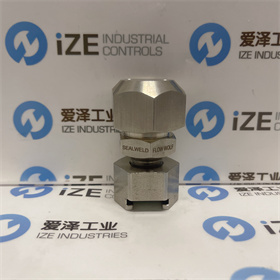 SEALWELD閥D-FW-LL1-SS 愛澤工業(yè) izeindustries (13).JPG