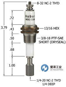 AUBURN電極液位計WCC-1138LT 愛澤工業(yè) izeindustries.jpg