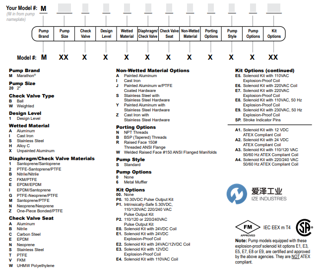 MARATHON氣動隔膜泵M20系列 愛澤工業(yè) izeindustries.png