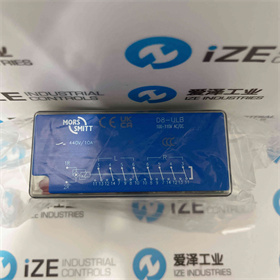 SMITT繼電器D8-ULB 100-110V ACDC 愛澤工業(yè) izeindustries (5).JPG