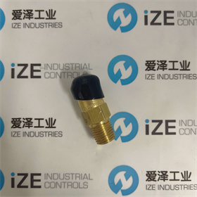 REGO閥3125L 愛澤工業(yè) izeindustries (3).JPG