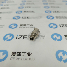 GENERANT減壓閥VRV125B-T-15 愛澤工業(yè) izeindustries (2).jpg