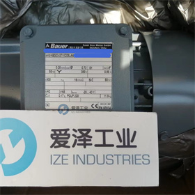 BAUER減速機(jī)BS03-37VD08LA6 愛(ài)澤工業(yè) izeindustries (6).jpg