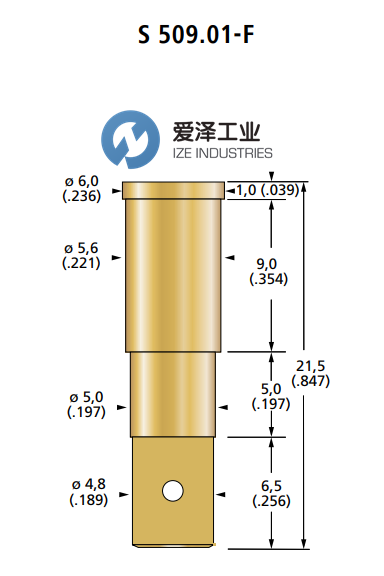 FIXTEST探針S 509.01-F 愛澤工業(yè) izeindustries.png