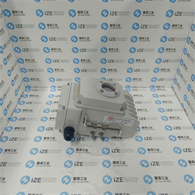 RECO執(zhí)行器ERVCR160S2 愛澤工業(yè) izeindustries (11).jpg