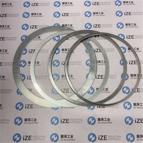 FISHER維修包RGASKETX392 愛澤工業(yè) izeindustries (8).jpg