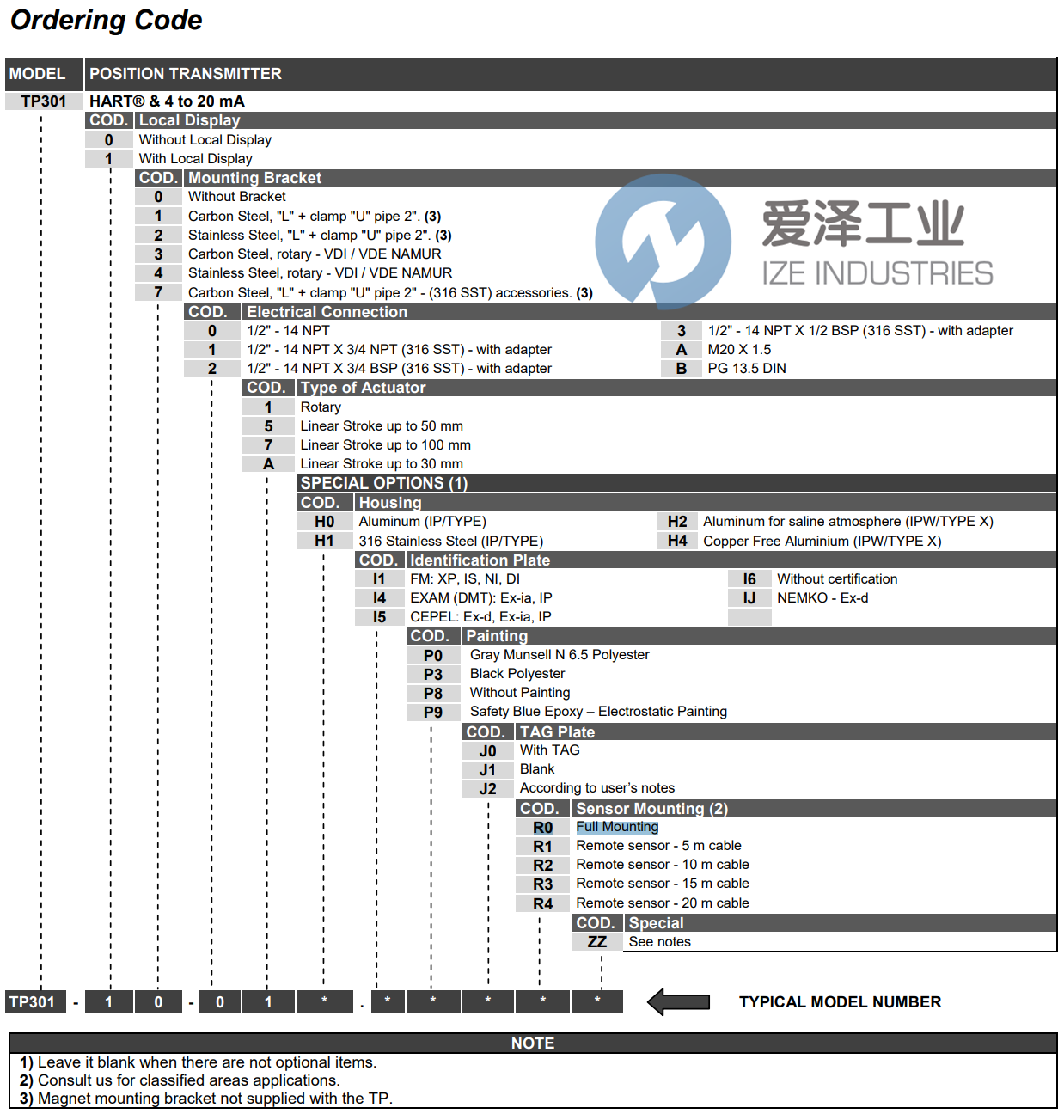 SMAR變送器TP301-00-A1.H0IEP0S0J0R0 愛(ài)澤工業(yè) ize-industries (2).png