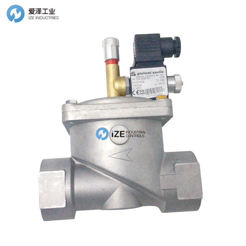 GIULIANIANELLO EV406B 010.0224.001 愛(ài)澤工業(yè) izeindustries 發(fā)貨照片 (6).jpg