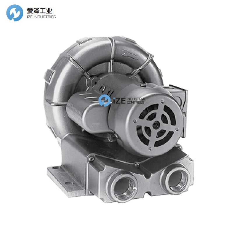 GAST風(fēng)機(jī)R2系列 示例X-RITE R2103 4490-193 izeindustries 愛澤工業(yè).jpg