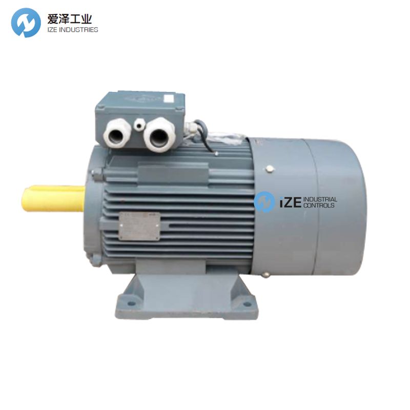 vem電機(jī)B21R系列 示例B21R90L4 愛澤工業(yè) izeindustrialcontrols.jpg