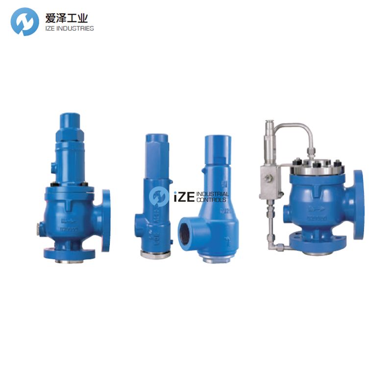 BIRKETT 2C511122 S245881C1265-302 愛澤工業(yè) izeindustrialcontrols.jpg