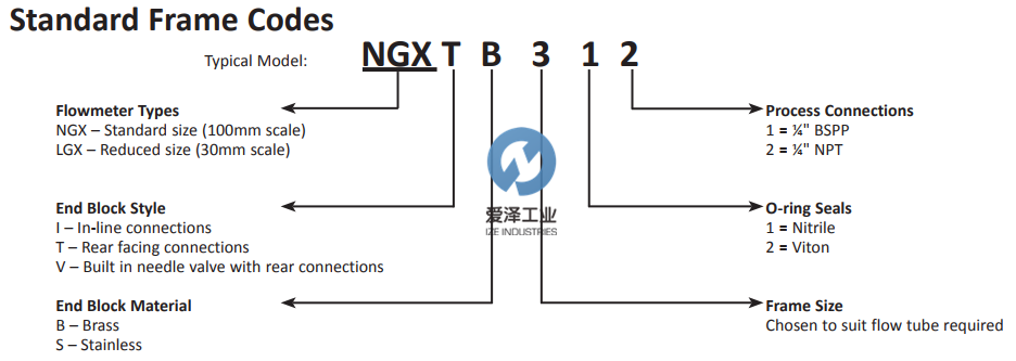 PLATON流量計NGX 愛澤工業(yè)izeindustries (2).png