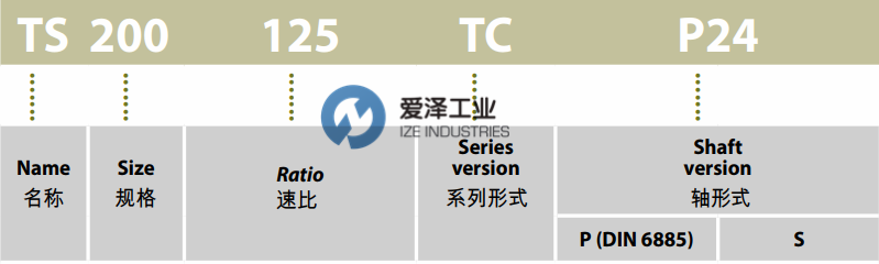 SPINEA-減速機TS300-63 TC-P28  愛澤工業(yè)izeindustries(3).png