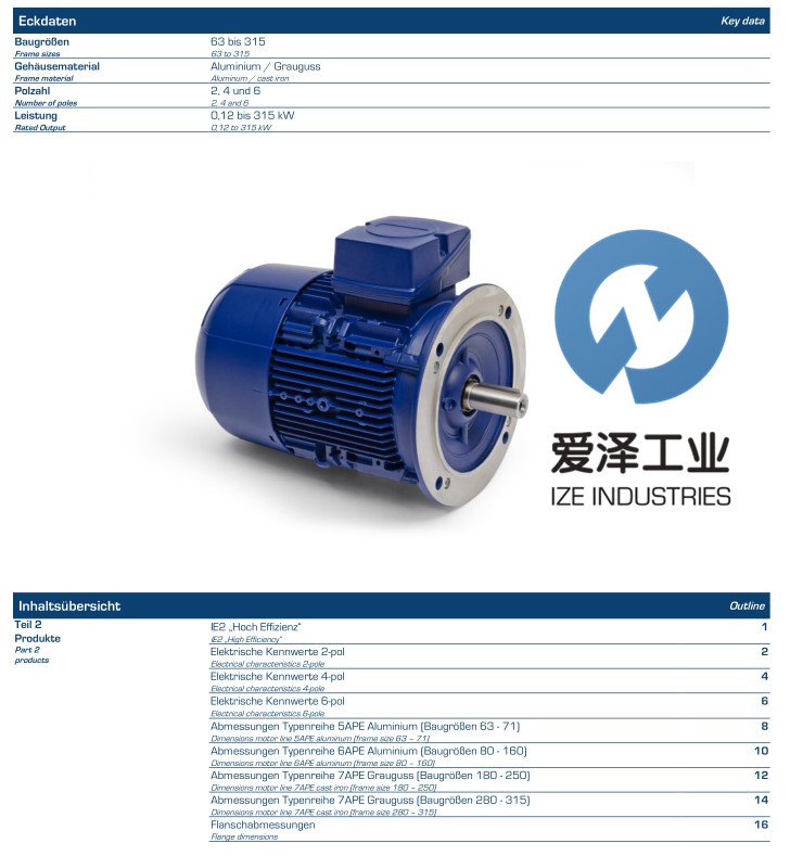 BIRKENBEUL電機(jī)5AP90L-4 愛(ài)澤工業(yè) izeindustries（1）.jpg