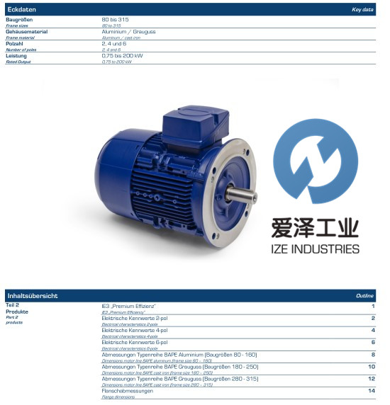 BIRKENBEUL電機8APE90L-4-IE3 愛澤工業(yè) izeindustries.jpg