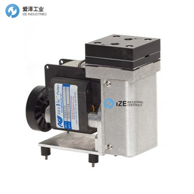 ADI泵M121-BT-WB2 愛澤工業(yè)izeindustries.jpg