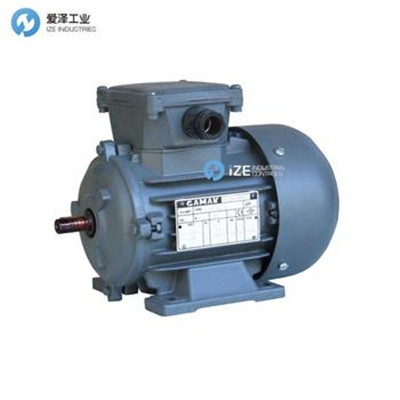 GAMAK-電機AGM2E100L4b 愛澤工業(yè) izeindustries (2).jpg