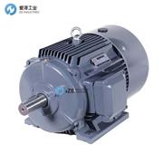 SIEMENS電機1TL系列 示例1TL0001-1DB43-3JA5