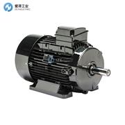 LAFERT電機AMPE132MZA2